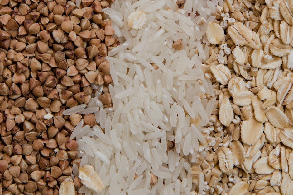 Best Foods For Bulking Muscle Gain Nutrition