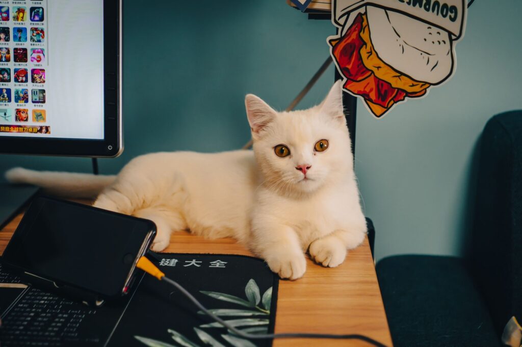 How to Master The cat-and-mouse game over 3D-printed guns has begun in 2026 [Full Guide]
